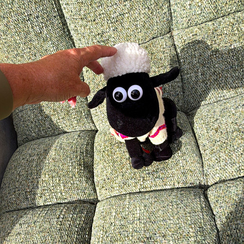 Shaun the sheep - sheep, white